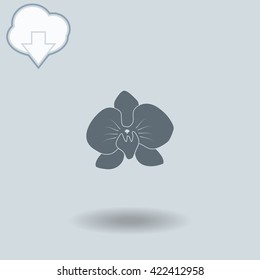 Orchid flowers icon with shadow. Cloud of download with arrow.