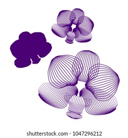 Orchid flowers isolated contour elements on white background. Can be used for design, printing on wrapping paper, creating card, invitation card for wedding, napkins. Vector illustration.