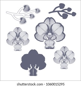 Orchid flowers isolated contour elements on white background. Can be used for design, printing on wrapping paper, creating card, invitation card for wedding, napkins. Vector illustration.