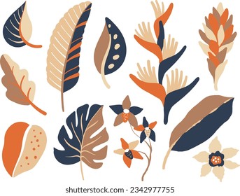 orchid flowers and Jungle plants set