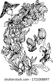 orchid flowers leaves composition graphics line doodle sketch hand-drawn vintage retro line on a white background separately plants exotica aroma vegetation nature spring summer