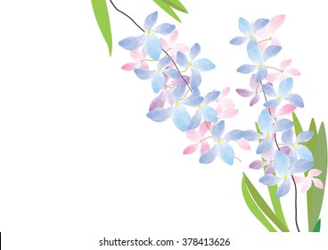 Orchid flowers on white background  brush design  vector illustration