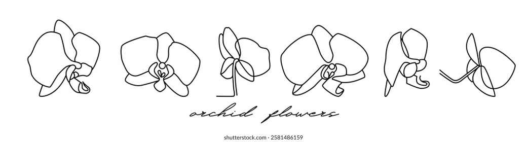 orchid flowers are outlined isolated on a white background. a set of orchid buds in the sketch style. stock vector illustration. EPS 10.