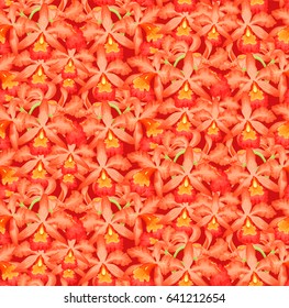 Orchid flowers seamless pattern on red background.