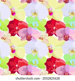 Orchidee Blumen, Vektorgrafik. Dekorative Orchideen. Blumen verschiedener Farben und Sorten.