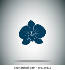 Orchid flowers vector icon