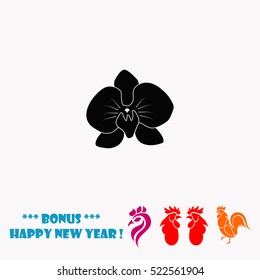 Orchid flowers vector icon