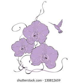 Orchid flowers vector illustration