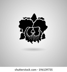 orchid flowers. Vector illustration.