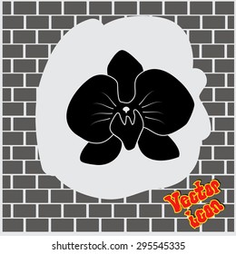 orchid flowers . Vector illustration.