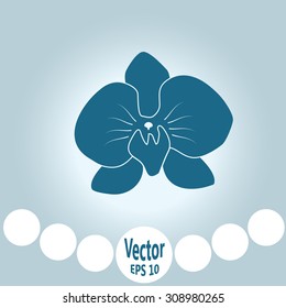 orchid flowers . Vector illustration.