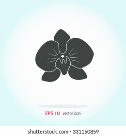 Orchid flowers . Vector illustration.