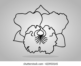 orchid flowers . Vector illustration.