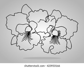 orchid flowers . Vector illustration.