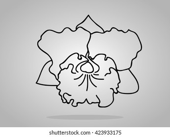 orchid flowers . Vector illustration.