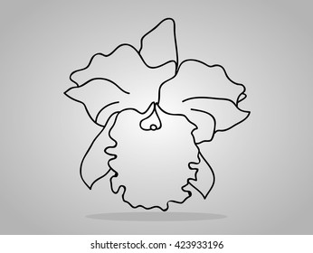 orchid flowers . Vector illustration.