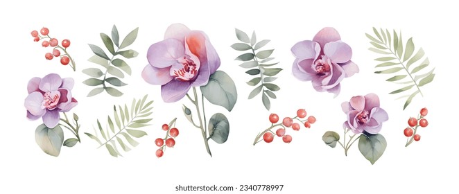 Orchid Flowers Watercolor isolated on white background. Beautiful flowers decorative vector illustration. Pink, purple flowers, green stem and leaves on white background