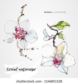 Orchid flowers watercolor vector illustration set. Beautiful floral branches for decorative backgrounds of spa banner design.