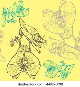 Orchid graphic modern background