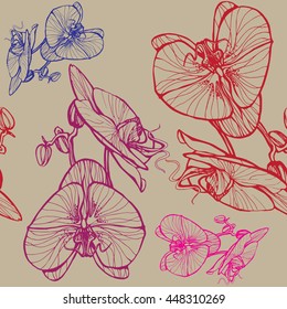 Orchid graphic modern background colorful