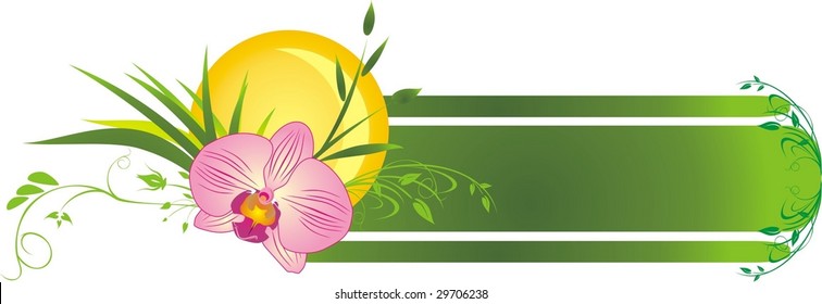 Orchid and grass. Floral banner. Vector