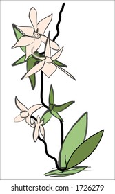 mano orquídea dibujada 2 de 2
