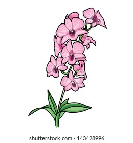 Orchid - Hand drawn