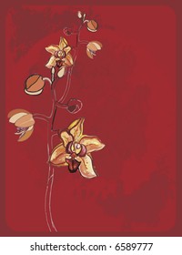 Orchid hand drawn still life, with a grunge background, file has no gradients.