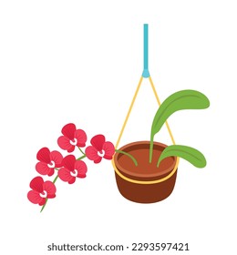 Orchid in hanging pot isometric icon vector illustration