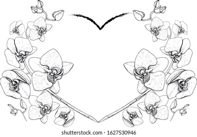 Orchid heart vector image monochrome