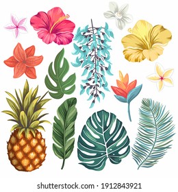 Orchid, hibiscus, bluejade, pineapple, plumeria, palm tree leaves, lily - set of hand drawn vector illustrations with tropical theme