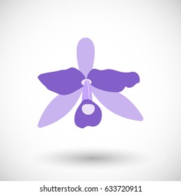 Orchid icon, Flat design of national flower of Costa Rica, vector illustration