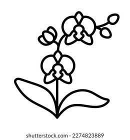 Orchid icon. Floral orchid in full growth. Graceful thin stem, leaves, blooming flowers and buds. Best for flower shop, horticulture, floriculture. Modern lineart illustration, editable thin strokes