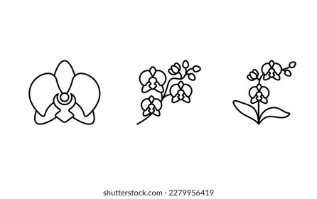 Orchid icon set. Diversity orchids - flower head, branch, whole growh plant. Graceful stem, leaves, blooming flowers and buds. Best for flower shop, horticulture, beauty. Minimalist illustration