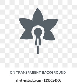 Orchid icon. Trendy flat vector Orchid icon on transparent background from nature collection. 