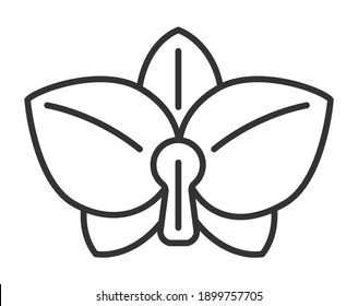 Orchid icon vector in outline style. Tropic flower is shown. Wedding, eco, floral logo sign.