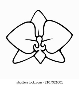 Vector de icono orquídea en el estilo de contorno. Se muestra una flor tropical. Boda, eco, símbolo de logo floral. Ilustración vectorial aislada en blanco.