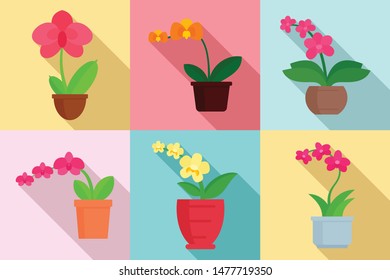 Orchid icons set. Flat set of orchid vector icons for web design