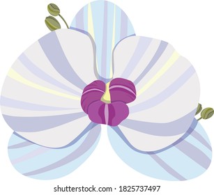 Orquídea aislada en un fondo blanco. Elemento de diseño floral. Colores delicados. Ilustración del vector