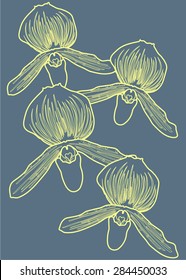 Orchid / Lady's slipper silhouette  (Vector Design)