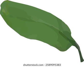 orchid limb stalk and leaf54