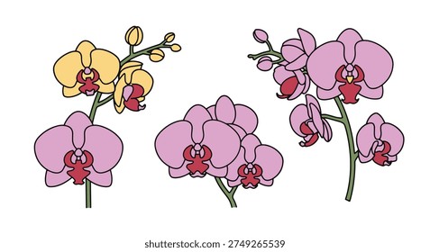 Orchid Line art vector set creative bold tone