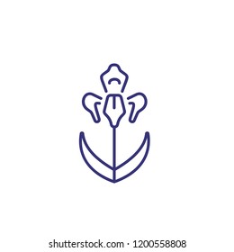 Orchid line icon. Flower, stem, botany. Beauty concept. Vector illustration can be used for topics like nature, botany, spa