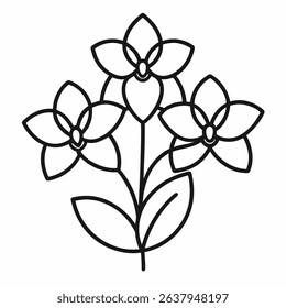 Orchid Many Varieties icon outline icon on white background