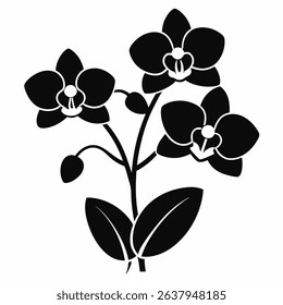 Orchid Many Varieties icon Silhouette icon on white background