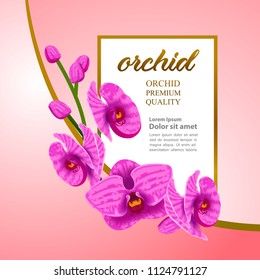 Orchid master vector illustration