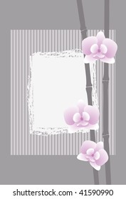 orchid on gray background