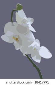 Orchid on a striped background. Vector illustration.