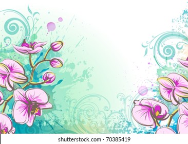Orchid on a watercolor background