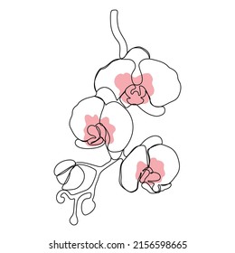 Orchid. One single line. Continuous line vector illustration